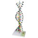 بازی آموزشی مدل DNA صنایع آموزشی