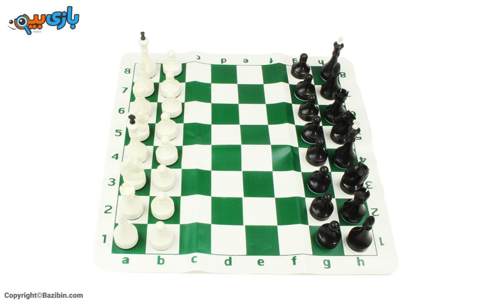 شطرنج قهرمان سایان 5