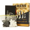 بازی رومیزی شطرنج مينياتوري 2